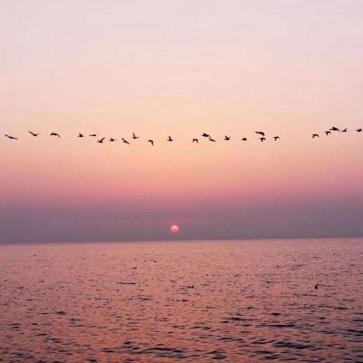 天博体育官方平台入口app下载