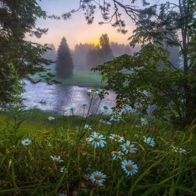 半岛综合娱乐app